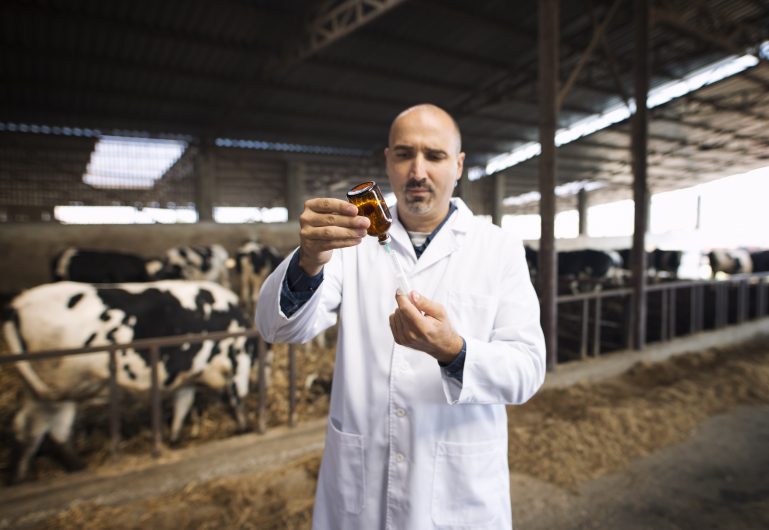 VÍDEO: Como garantir bem-estar mesmo durante manejos dolorosos