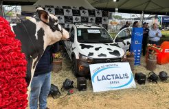 Cabanha Santa Clara vence Circuito Exceleite na Expointer e é ganhadora da caminhonete 0km