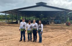 A força da união familiar é o segredo por trás do sucesso na atividade leiteira